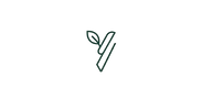 Verde - Home