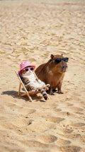 Beach Buddies
