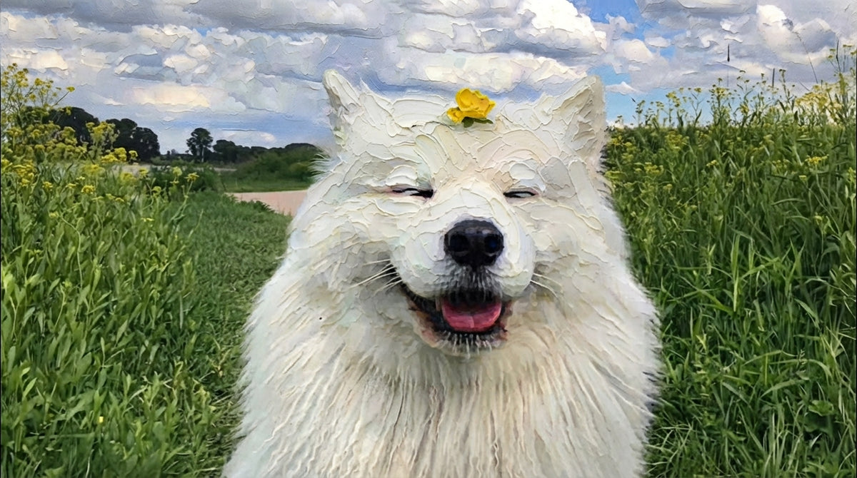 Cloud Nine