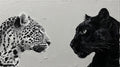 Duality