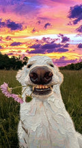 Golden Hour Grin